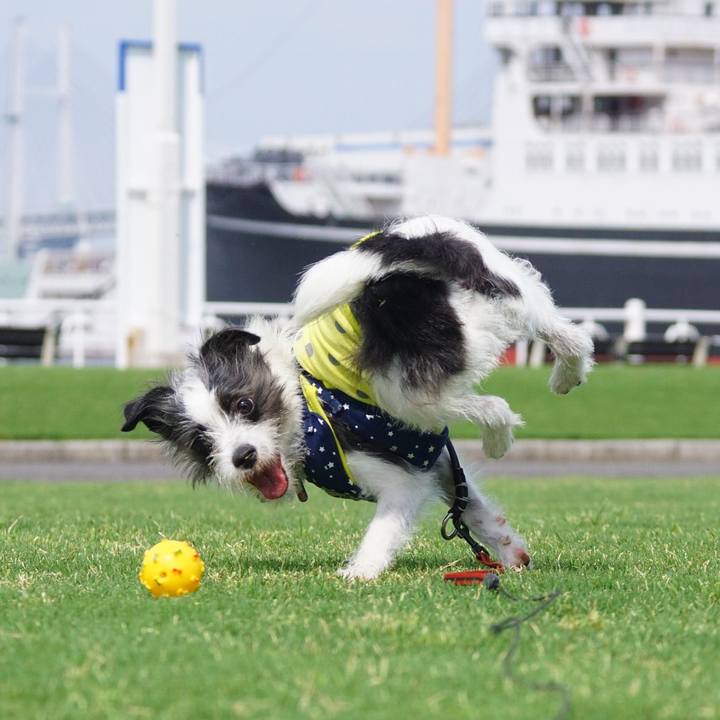 07b1cdb1 e462 488f 8e87 c2fbd121ed59 1531299749407