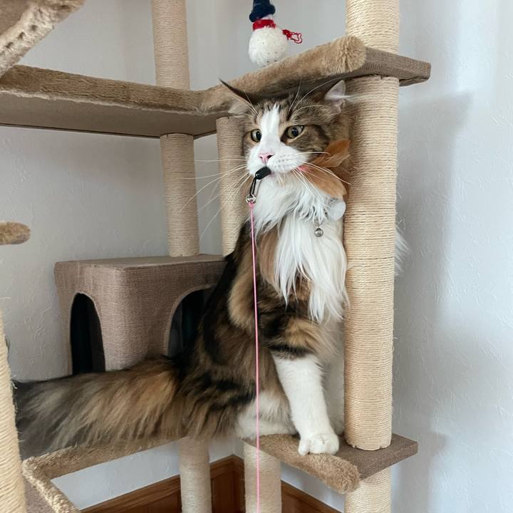 07b22e05 b6d3 4bb6 9291 78a3f118ea0f 1679347521333