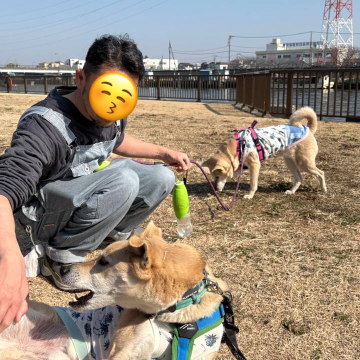 07b23430 9e54 4029 bdaa 36f1c0d893fc 1771131614147