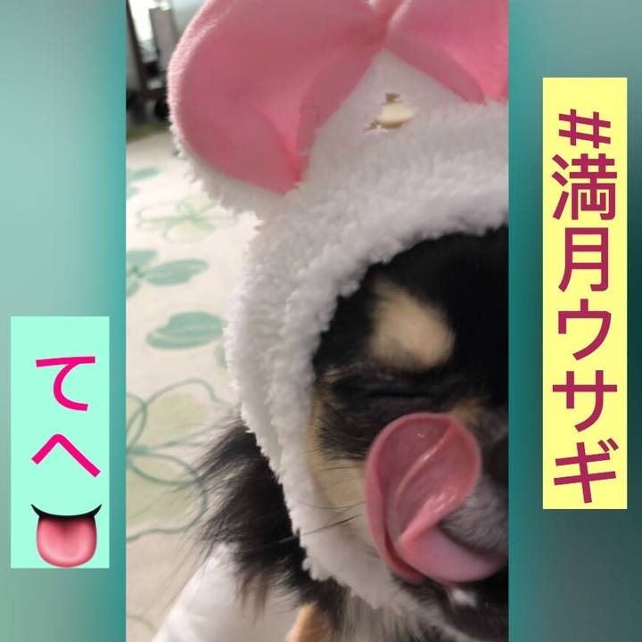 07b27029 c8ab 45b1 8971 6ce156ef5ce8 1568335132572