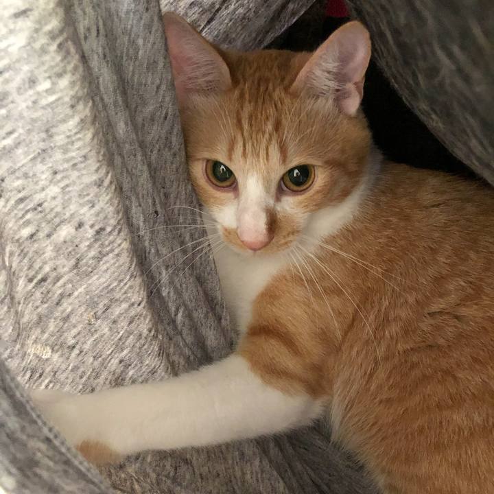 07b28c20 ced6 40d3 89e2 42b268323213 1763282283795