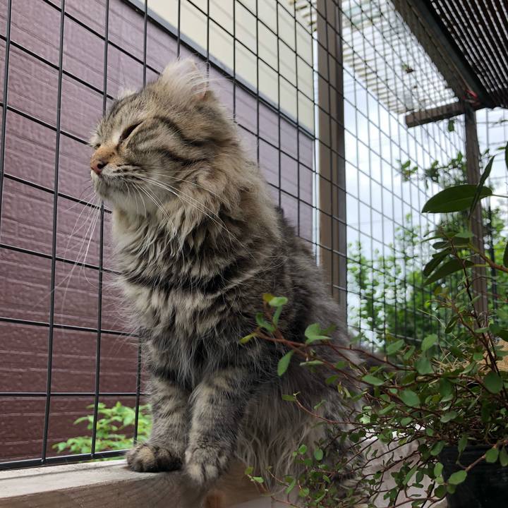 07b2b3f4 e3f2 47e3 bf0e 386bbc010502 1565579479987