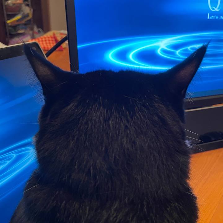 07b2b6da aee7 4b8a 89f2 95a7549b001d 1667649360963