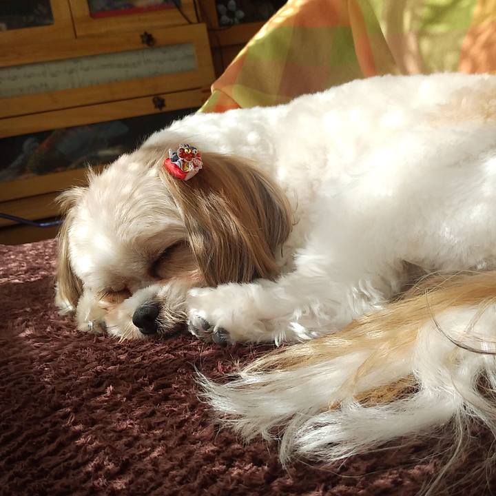 07b305d9 9627 4c78 8110 482e7474f627 1583467128058