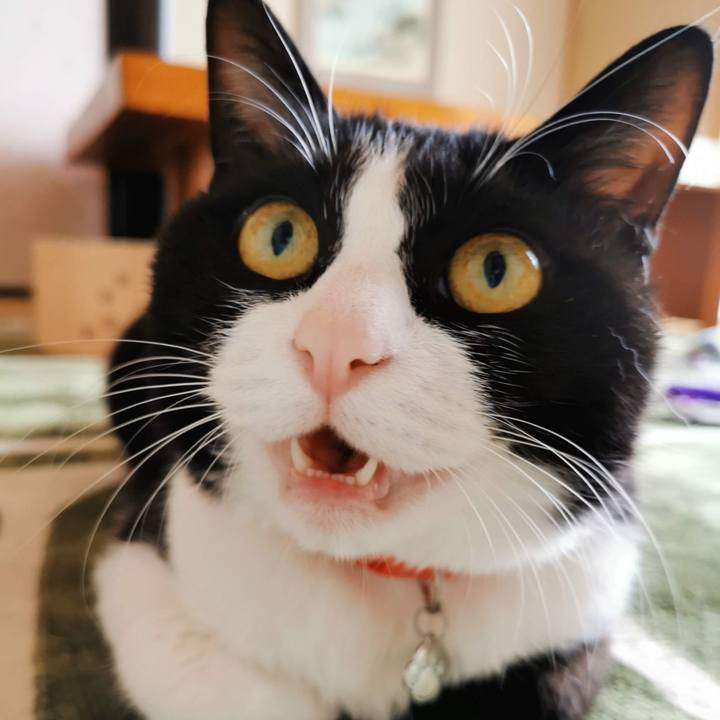 07b30bde 56b5 4727 84b4 6f4148e69cb3 1621326640561