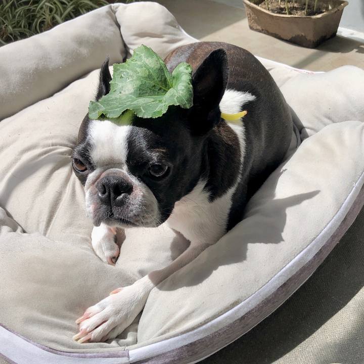 07b30c7e 0430 4174 9a74 8c8cc4d85a1f 1692580575477