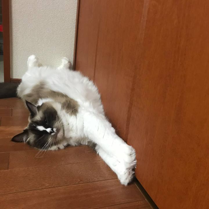 07b355d1 abed 4ad3 bc2f c47b0a30436f 1546749756621