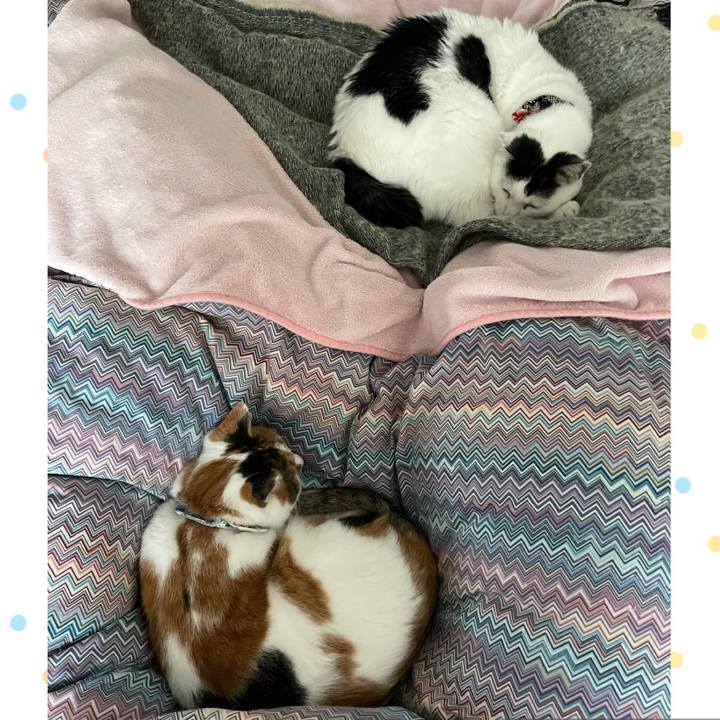 07b3683e 20e2 4be5 a38d 9d490722e177 1699670953068