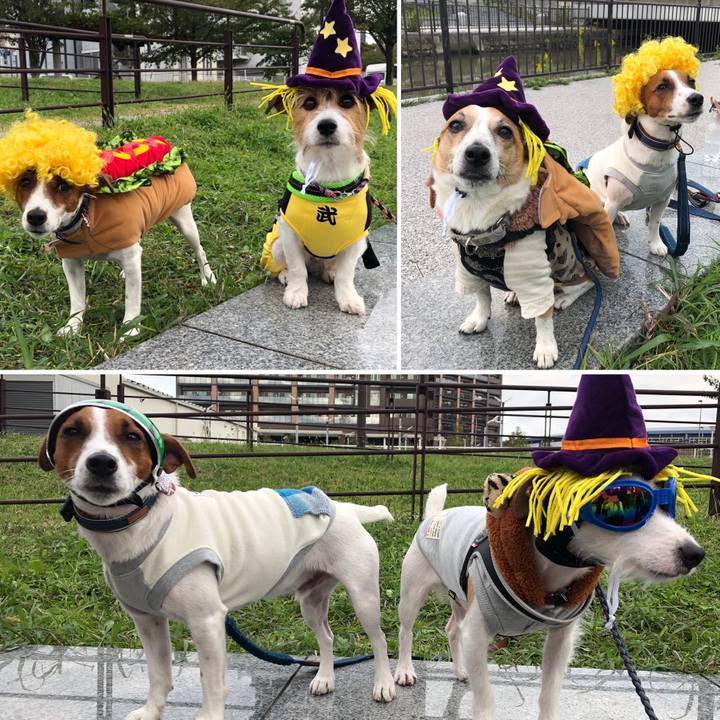 07b39f38 ab9e 4172 8794 7ef223a3dcae 1572180189530