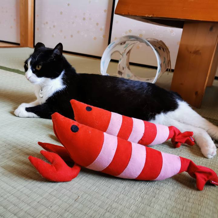 07b3ab6e 0feb 471f b2ee 8bac6f641c6e 1657683610388