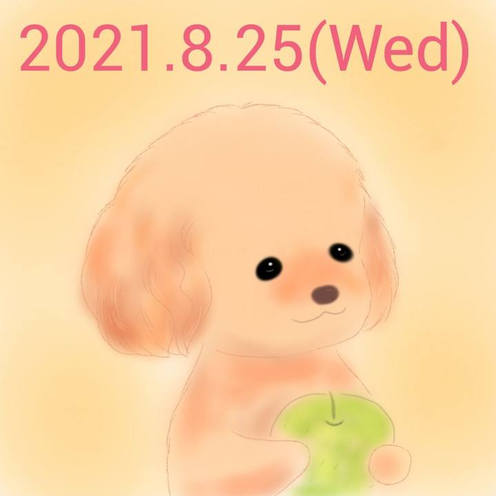 07b3adef 4bff 468c ac1a d514d52eabd6 1629891457840