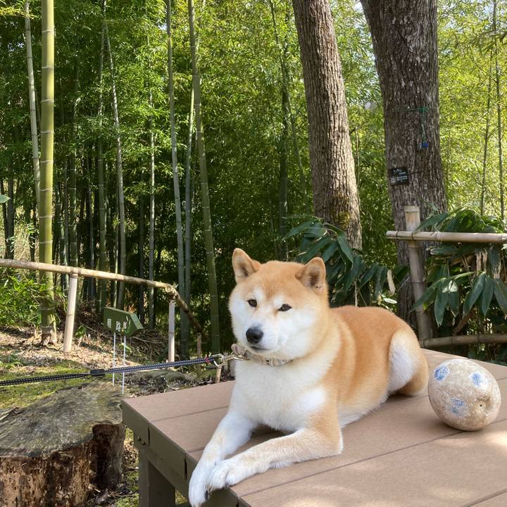 07b3b0a8 4414 442e a8ea 6c672b7d3090 1711280329491