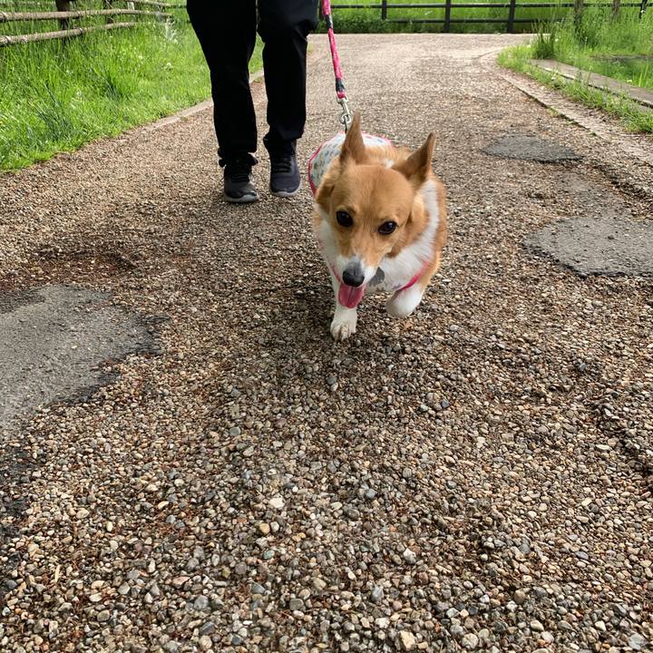 07b3d25d 9d11 4f5a 9941 e22fcd274245 1588578236103