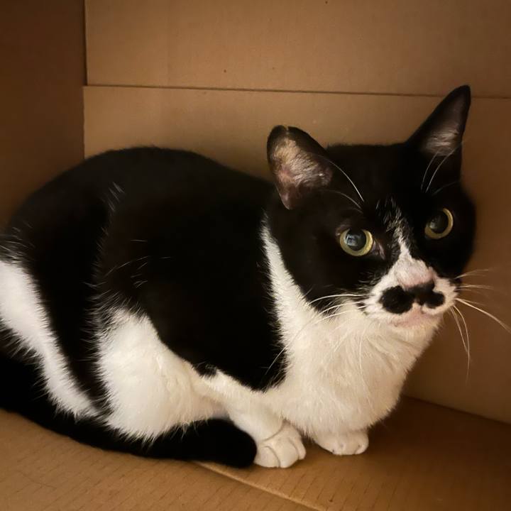 07b4040c 006f 4e10 a8fa ed09cf0d8e4b 1701907438154