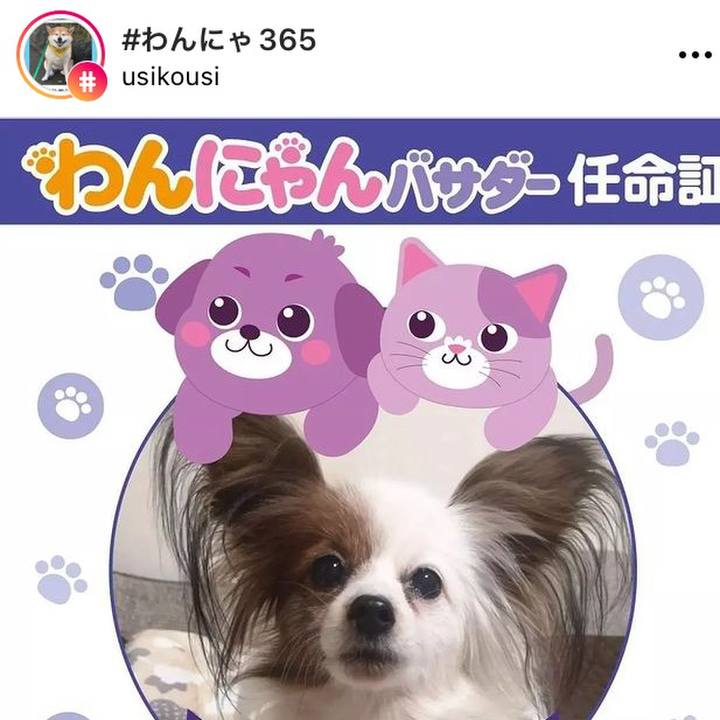 07b411c0 0b1b 4aa3 a17f dfb1f4dfd8ad 1646263127372