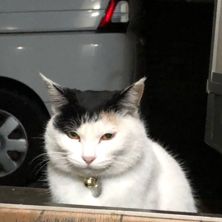 07b44d12 aa3d 408f bbec 245555a60e4e 1606307754760