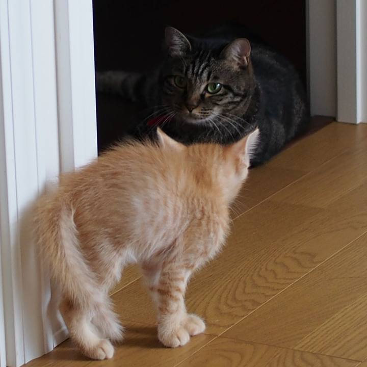 07b4a2d4 abe1 4471 ad9a c17c3e4b7733 1570509388782