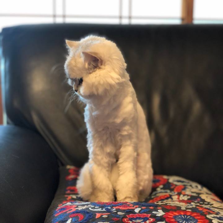 07b4b104 a695 470c aa8b 116774fdcf08 1589454924441