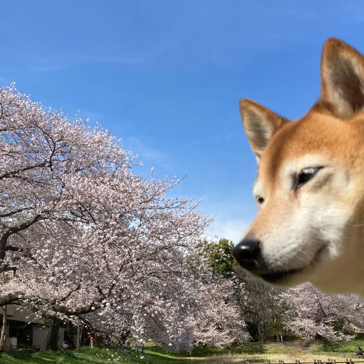 07b4cbed 71dc 432b 8ce1 c24d1f46ef38 1648800198306