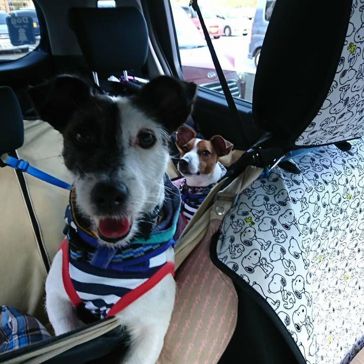 07b51a13 428e 4983 a3ed 919b22baa991 1534927259201