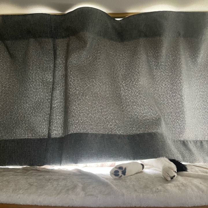 07b5bb00 0b62 4f19 bbef 20768cb9eb22 1747546737971