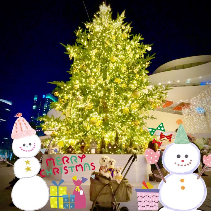 07b5d4e3 2d61 4c4c 92e9 98274ea55a99 1640313559701