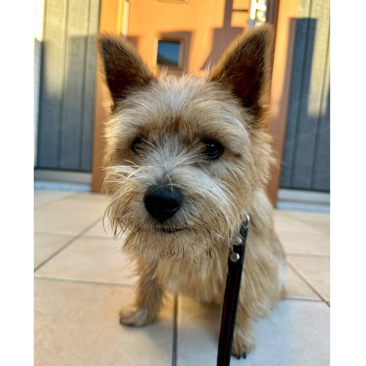 07b5f3d2 ac2b 4f35 95e2 08c57cee5c0c 1733062286038