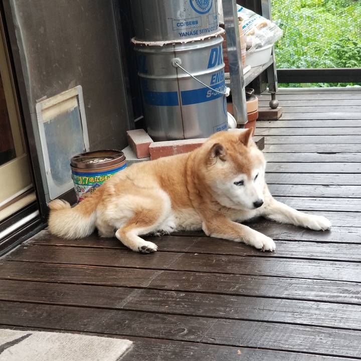 07b60ca6 cf9e 41d8 9c1c c94c2a32e90c 1750635199776