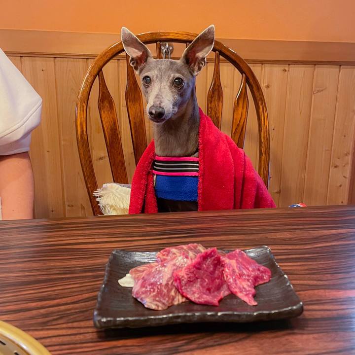 07b617cb 9a01 4947 aa97 ce3f60eb6ac5 1758186181168