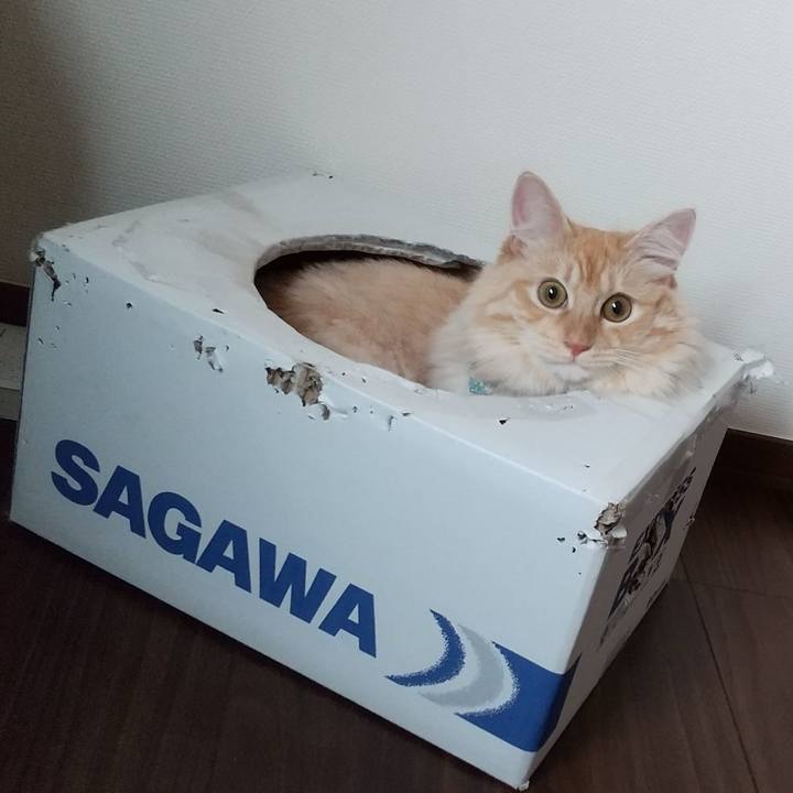 07b64960 f363 4e6d 804e 7d168f1359b1 1630105168434