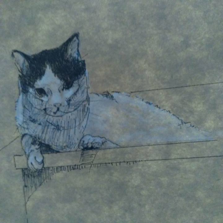 07b658d6 2fce 466a afe9 f353231c79d5 1528015777918