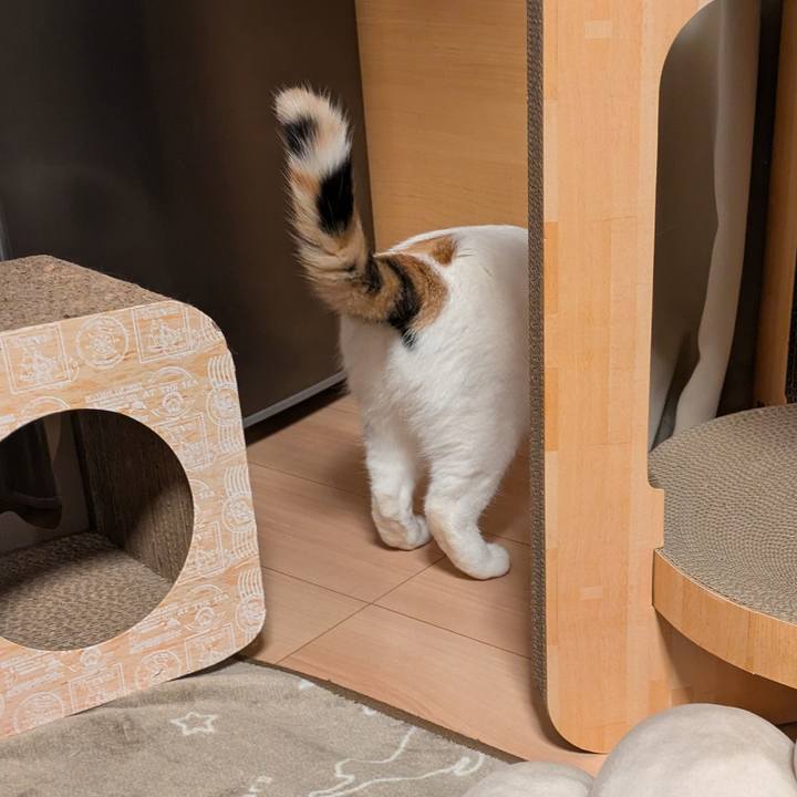 07b65a02 301b 44ba 929d fe3eac1f9b0d 1736844551219