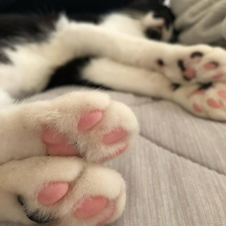 07b6744c 2e94 49b1 985a 485f208908d3 1535491083208