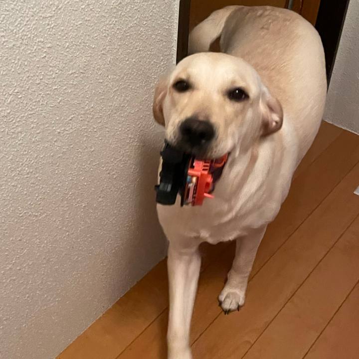 07b68c4a 5d4a 4ce4 84f7 cb313405abe6 1640382598353