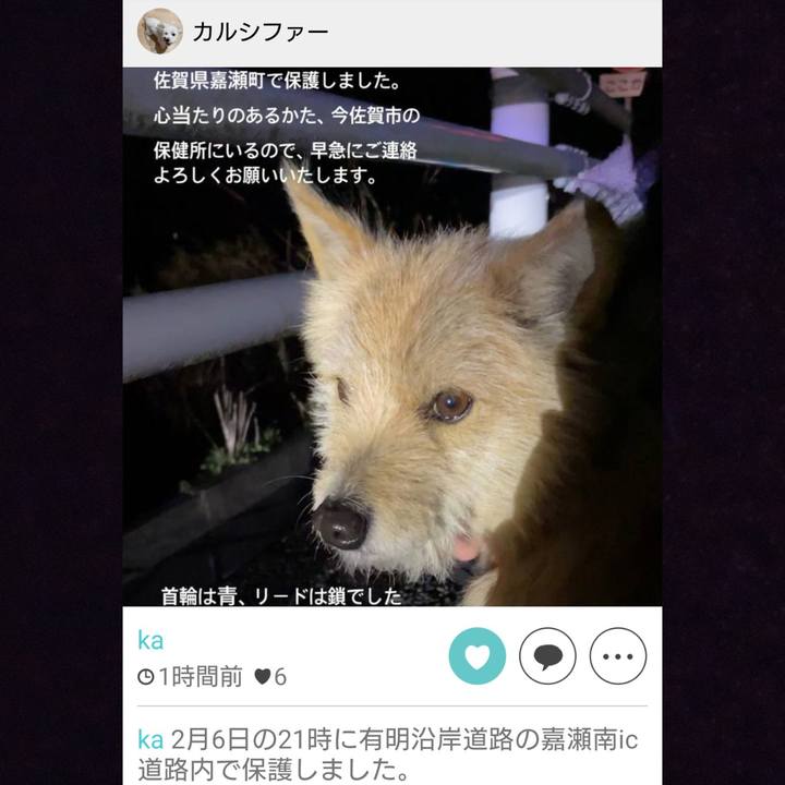 07b6b70d a7c1 429f ba3d 75d4f7494449 1644432966448