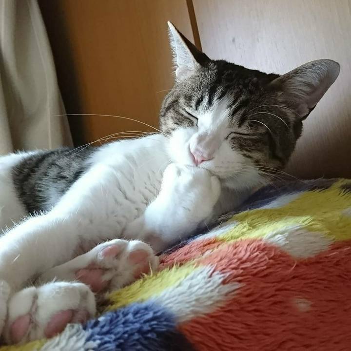 07b6dd8b 6b82 4780 9f61 403361fd3258 1551973892067