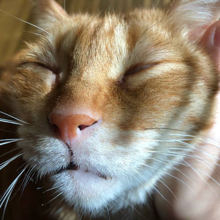 07b741bc 7d52 424a 997d 1bd495faa708 1651269788152