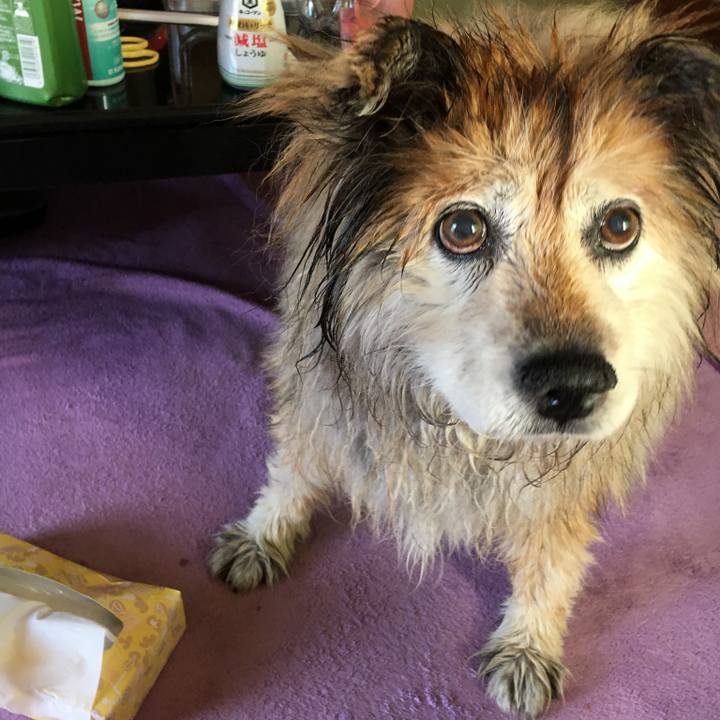 07b77301 354e 4b2b ac86 c388c8d1a6cf 1588617055088