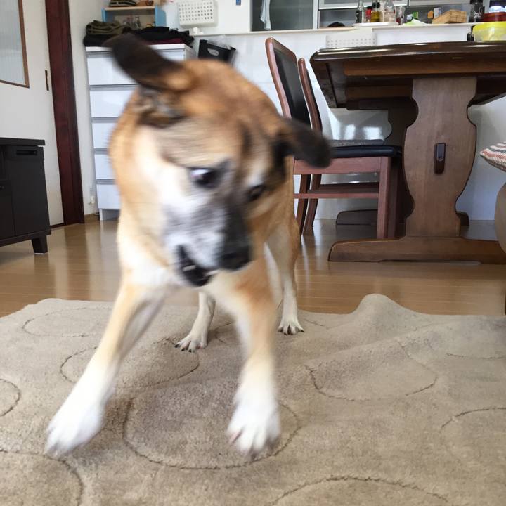 07b77c79 e6b5 4eae a93e 23c4f99050b4 1521849313955