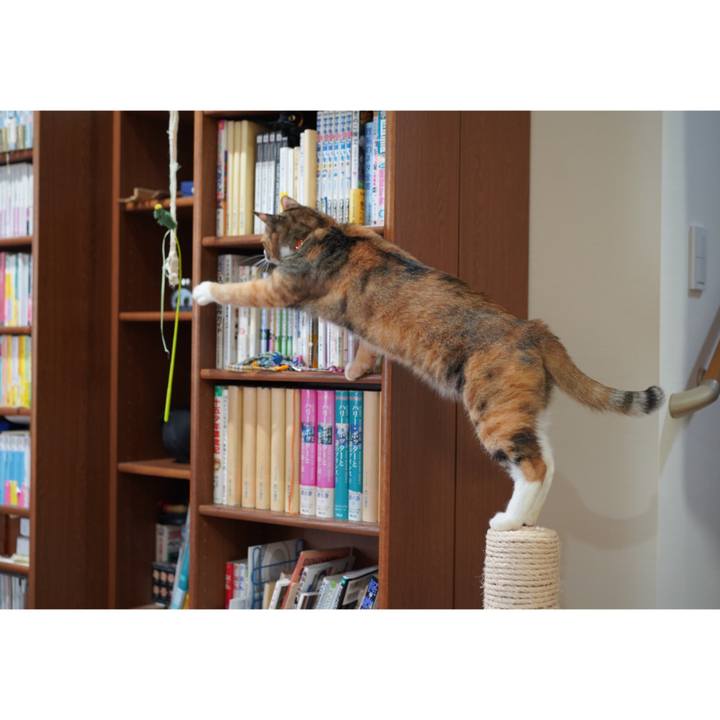 07b78557 0077 45d6 85cd c1038a5cdfbe 1635085035168