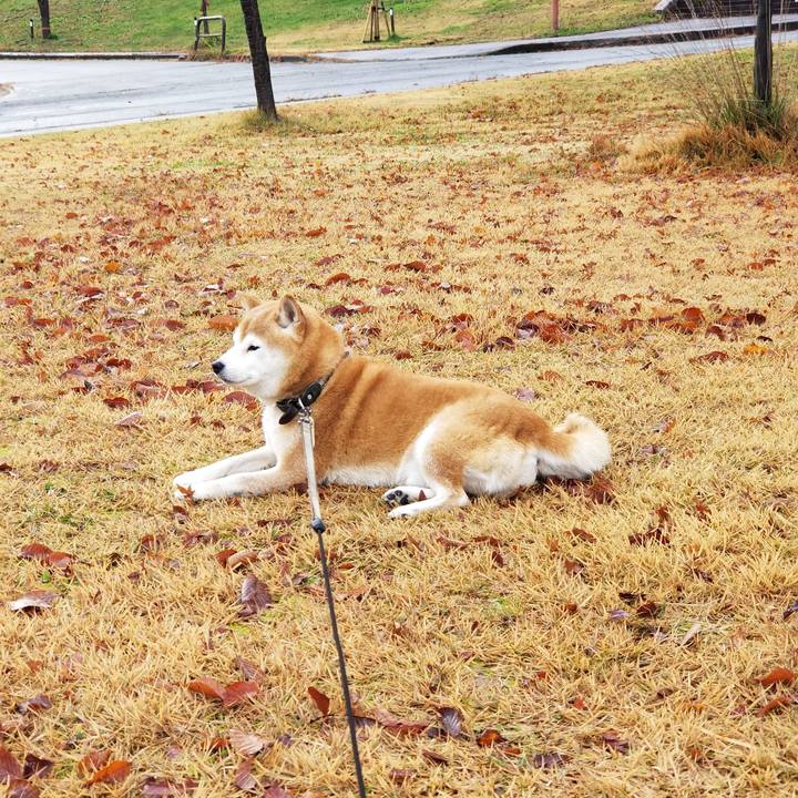 07b7a150 523c 4251 b05b cf8a84496ed4 1669266004935