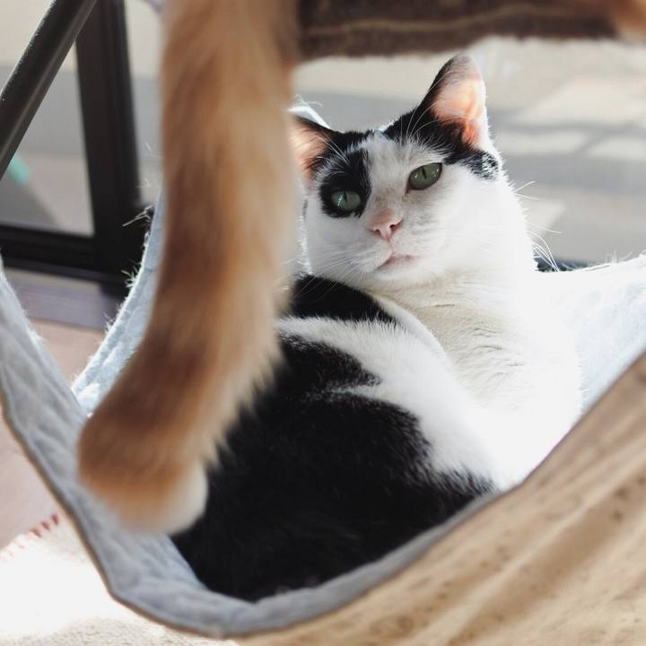 07b7b59f 05c0 49e9 98a7 589d49044b19 1613921959609