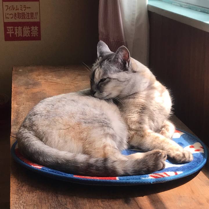 07b7b611 01a6 4334 b973 7db84287980b 1617677591664