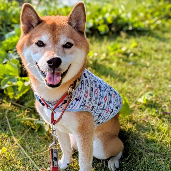 07b7d7bf c81c 4daf 98e7 99aca06323d4 1756633993948