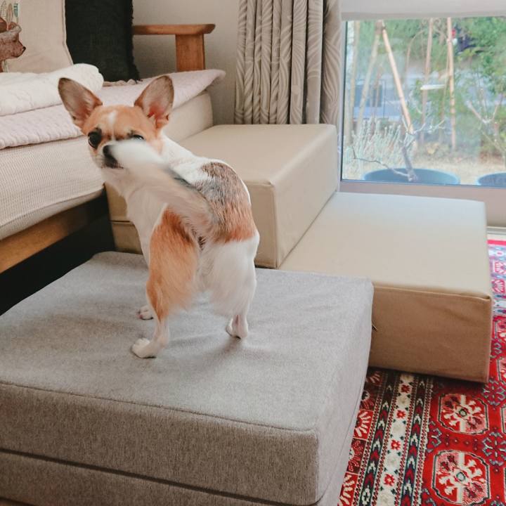 07b7e708 ef08 41d8 b5e5 eb7ef7884109 1581386266448