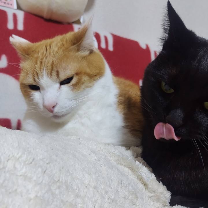 07b8572f 92fb 4113 92f1 1ae2bcbdc581 1775400572437