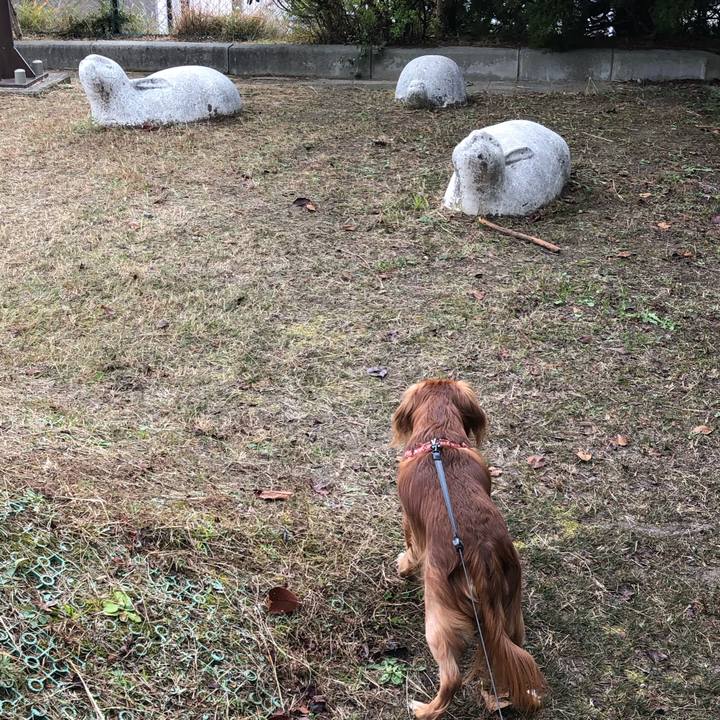 07b8797f a32a 4529 ab44 6511495eefb4 1543035434100