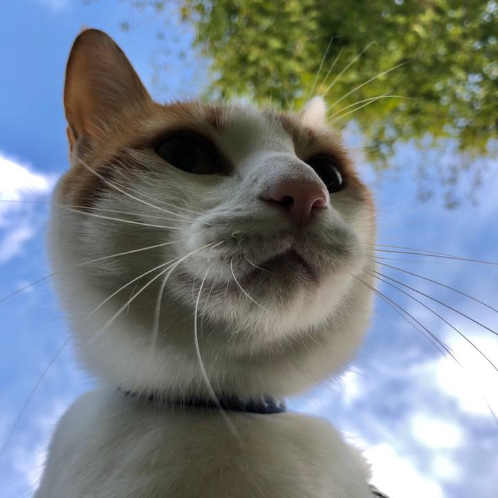 07b8b0f1 cc5c 4acf 9cb1 a5aaf13e2d42 1540273952486