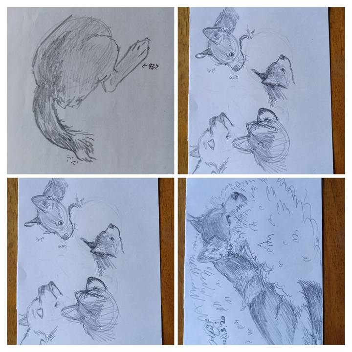 07b96258 be42 4b97 af04 8f56776cd73c 1774221353939