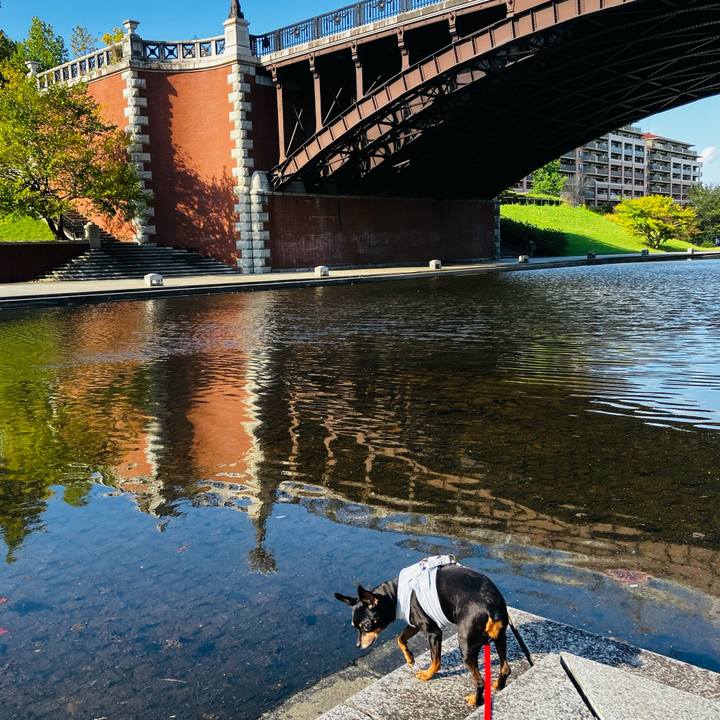 07b963f5 eebb 47f1 95b0 301c072c399b 1760778327332